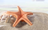 lettini da spiaggia collezione allegro